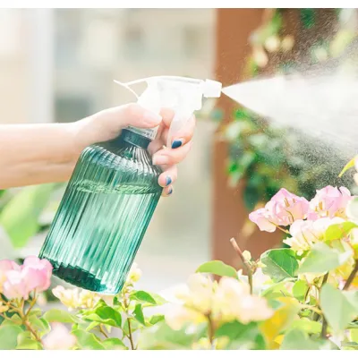 bình xịt nước tưới cây - bình phun nước tưới cây bình xịt nước tưới cây - bình phun nước tưới cây