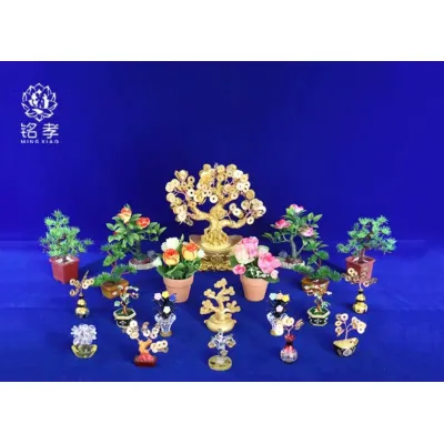cây phát tài - cây phát lộc cây phát tài - cây phát lộc