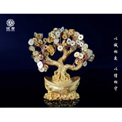 cây phát tài - cây phát lộc cây phát tài - cây phát lộc