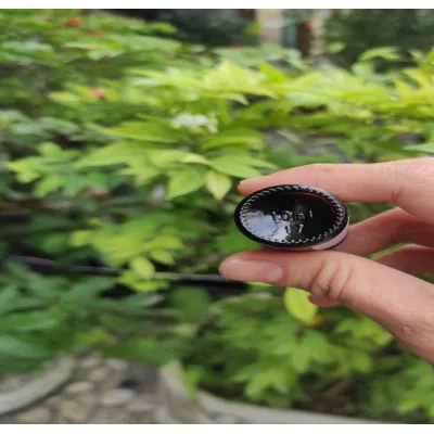 chai tinh dầu xông phòng hương sả chanh 10ml chai tinh dầu xông phòng hương sả chanh 10ml
