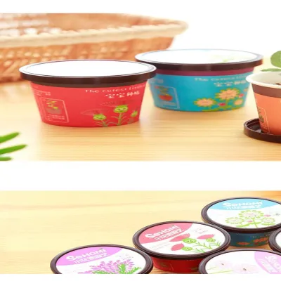 chậu đất và hạt giống cây cảnh để bàn mini chậu đất và hạt giống cây cảnh để bàn mini