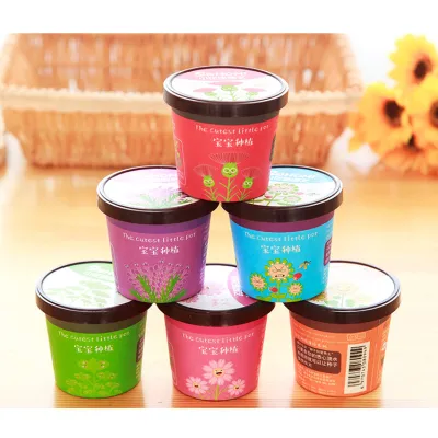 chậu đất và hạt giống cây cảnh để bàn mini chậu đất và hạt giống cây cảnh để bàn mini