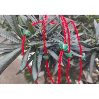 chỉ đỏ đeo tay may mắn - vòng đeo tay chỉ đỏ chỉ đỏ đeo tay may mắn - vòng đeo tay chỉ đỏ