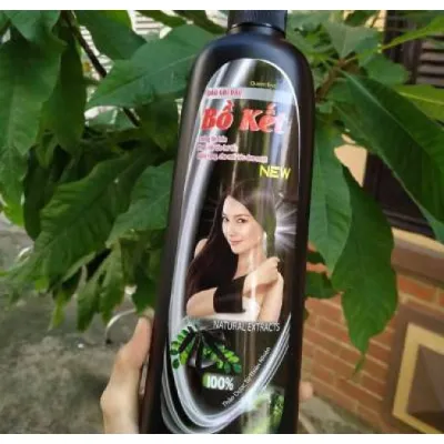 dầu gội bồ kết dầu gội bồ kết