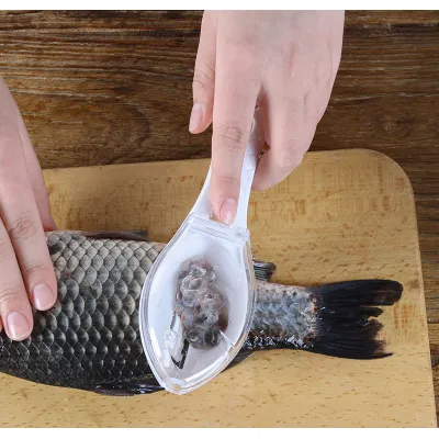 dụng cụ đánh vảy cá - cây đánh vảy cá dụng cụ đánh vảy cá - cây đánh vảy cá