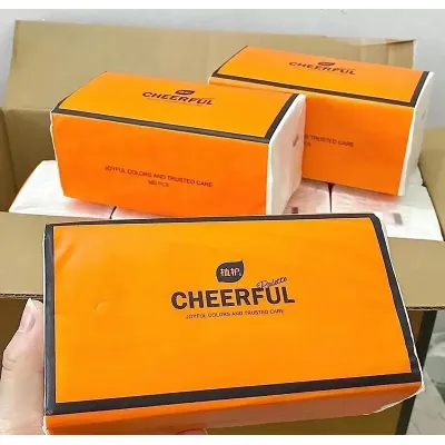 khăn giấy ăn - giấy ăn rút bịch giấy ăn cao cấp an toàn sức khỏe khăn giấy ăn - giấy ăn rút bịch giấy ăn cao cấp an toàn sức khỏe