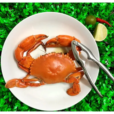 kìm kẹp càng cua kìm kẹp càng cua