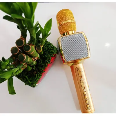 micro karaoke bluetooth