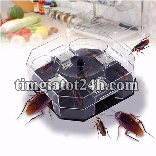 bắt gián - diệt gián - dụng cụ chuyên bắt gián và côn trùng - 1hda0548 bắt gián - diệt gián - dụng cụ chuyên bắt gián và côn trùng - 1hda0548