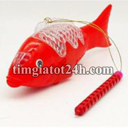 cá chép thông minh - cá chép phát sáng - 1hda0555 cá chép thông minh - cá chép phát sáng - 1hda0555