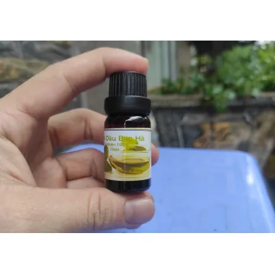 trang trí nhà cửa | chai tinh dầu xông phòng hương bạc hà 10ml trang trí nhà cửa | chai tinh dầu xông phòng hương bạc hà 10ml